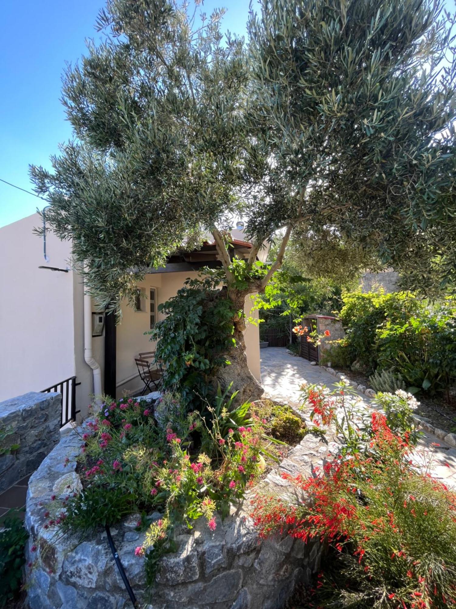 Petasos House - Garden - Sea View Villa Sellia  ภายนอก รูปภาพ